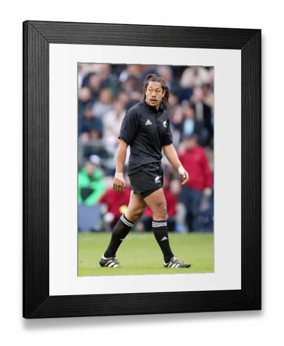 Framed Print : Tana Umaga Framed Print : Tana Umaga