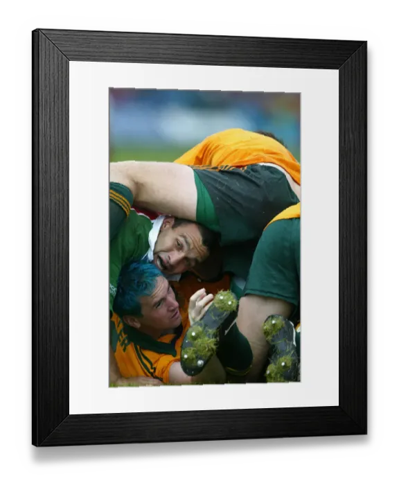 Framed Print : Players Collapse In Scrum Framed Print : Players Collapse In Scrum