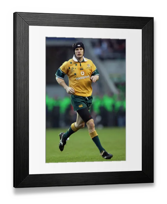 Framed Print : Stephen Larkham Framed Print : Stephen Larkham