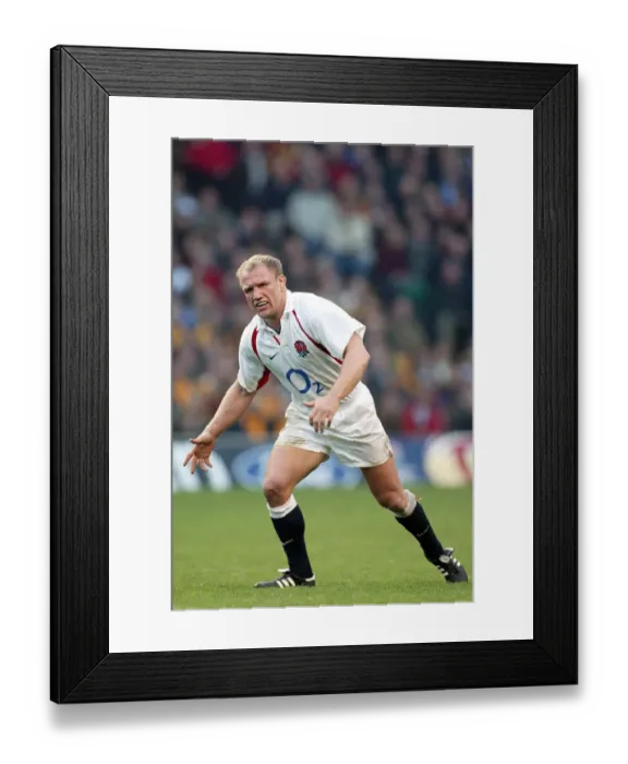 Framed Print : Neil Back England and Leicester Tigers Rugby Union England V Australia Twickenham Framed Print : Neil Back England and Leicester Tigers Rugby Union England V Australia Twickenham