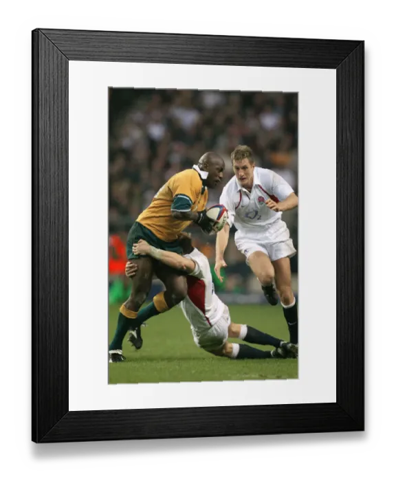 Framed Print : Sailor, Greenwood, Tindall Framed Print : Sailor, Greenwood, Tindall