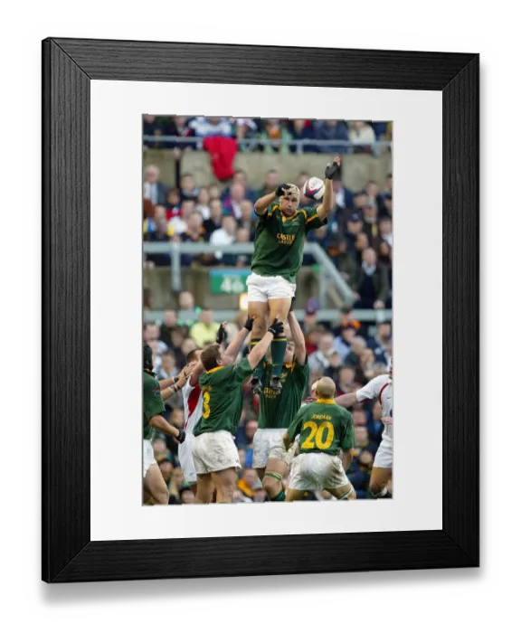 Framed Print : Pedrie Wannenburg Framed Print : Pedrie Wannenburg