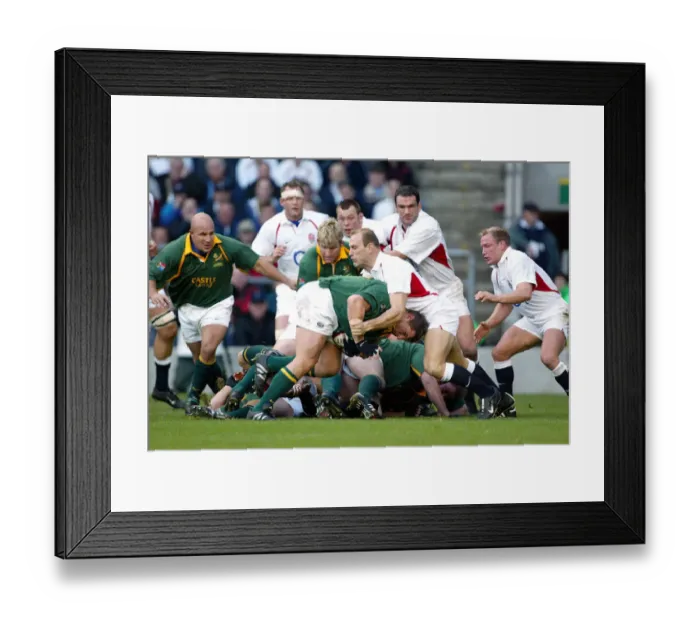 Framed Print : Deon Carstens & Dallaglio Framed Print : Deon Carstens & Dallaglio