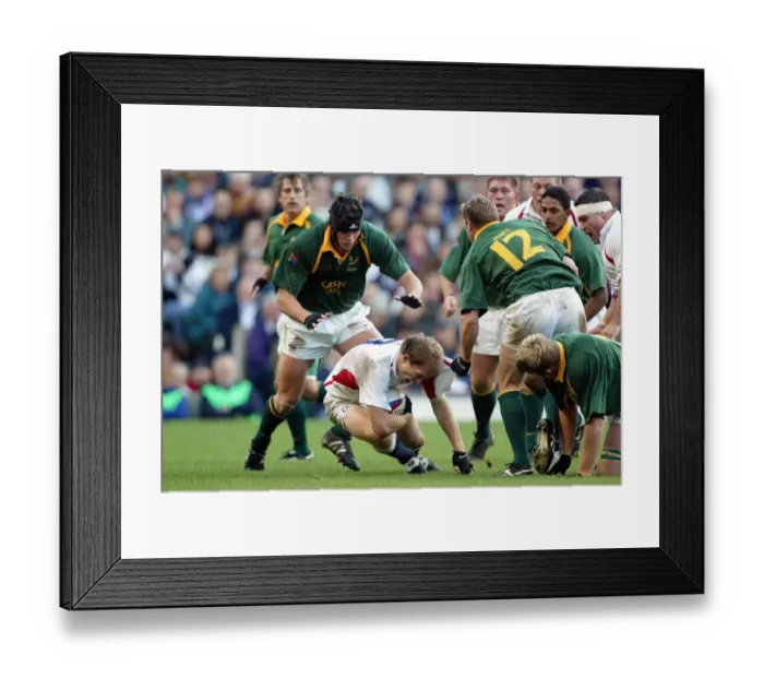 Framed Print : Matt Dawson, Van Niekerk, James Framed Print : Matt Dawson, Van Niekerk, James