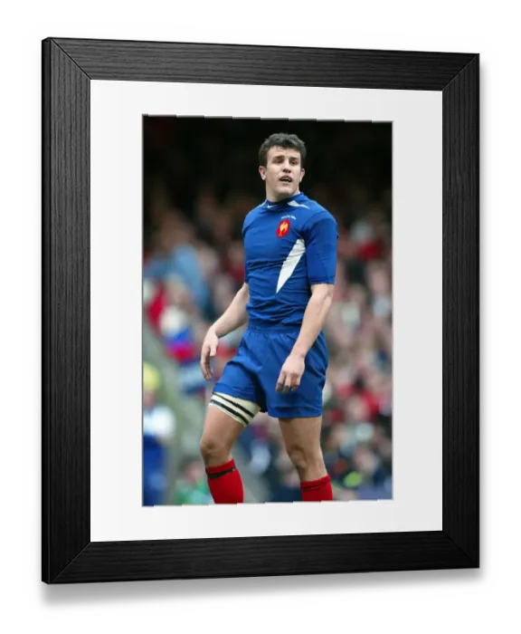 Framed Print : Damien Traille Framed Print : Damien Traille