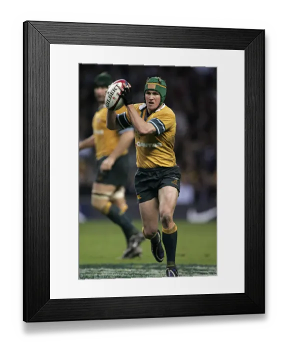 Framed Print : Matt Giteau Framed Print : Matt Giteau