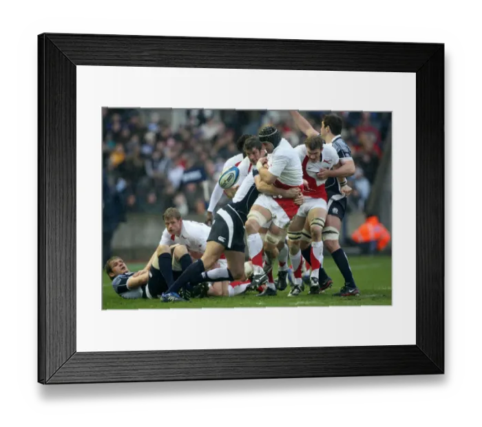 Framed Print : Steve Borthwick Spills The Ball Framed Print : Steve Borthwick Spills The Ball