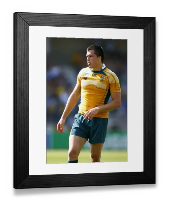 Framed Print : Adam Ashley-Cooper Framed Print : Adam Ashley-Cooper