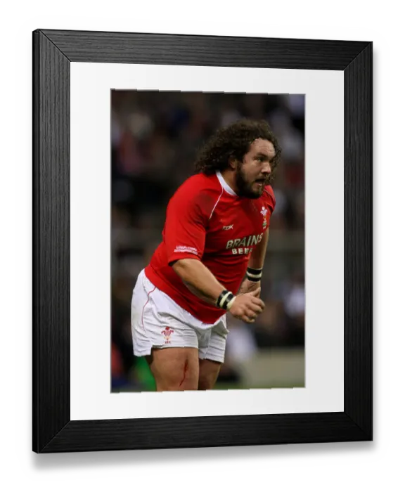 Framed Print : Adam Jones Framed Print : Adam Jones