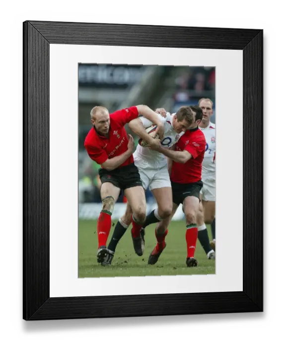 Framed Print : Will Greenwood, Tom Shanklin & Stephen Jones Framed Print : Will Greenwood, Tom Shanklin & Stephen Jones