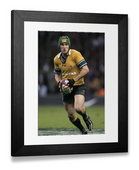 Framed Print : Matt Giteau Framed Print : Matt Giteau