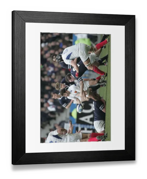 Framed Print : Christophe Dominici, Scott Murray, Gordon Bulloch Framed Print : Christophe Dominici, Scott Murray, Gordon Bulloch