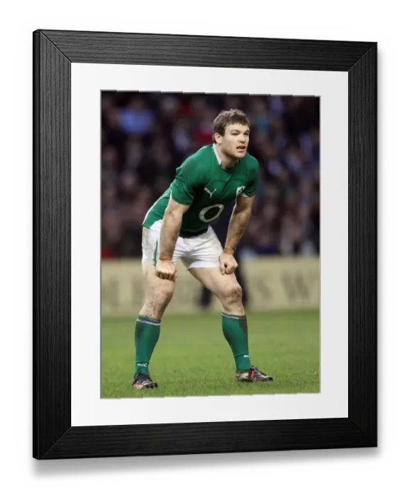 Framed Print : Gordon D Arcy Framed Print : Gordon D Arcy