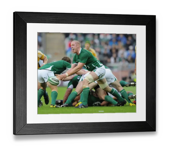 Framed Print : Paul O Connell Framed Print : Paul O Connell