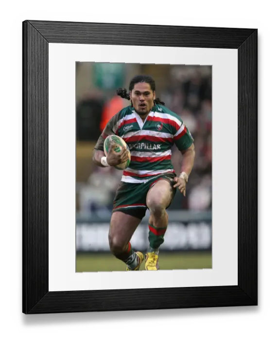 Framed Print : Alesana Tuilagi Framed Print : Alesana Tuilagi