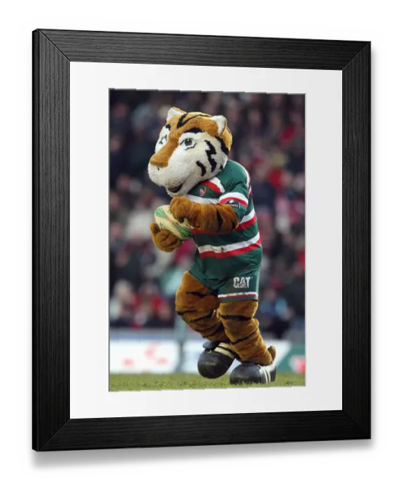 Framed Print : Leicester Tigers Mascot Framed Print : Leicester Tigers Mascot