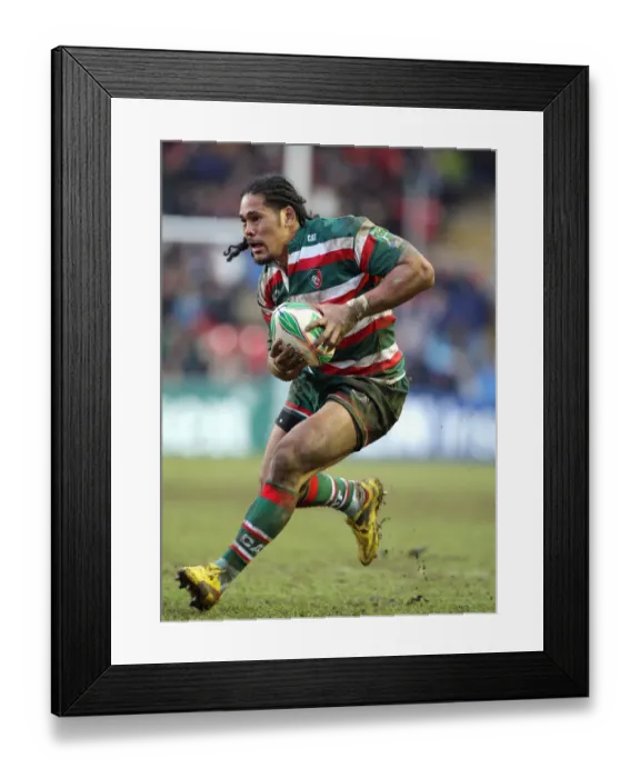 Framed Print : Alesana Tuilagi Framed Print : Alesana Tuilagi
