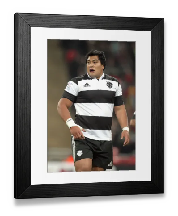 Framed Print : Census Johnston Framed Print : Census Johnston