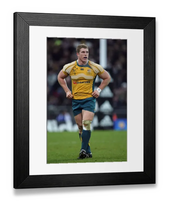 Framed Print : David Pocock Framed Print : David Pocock