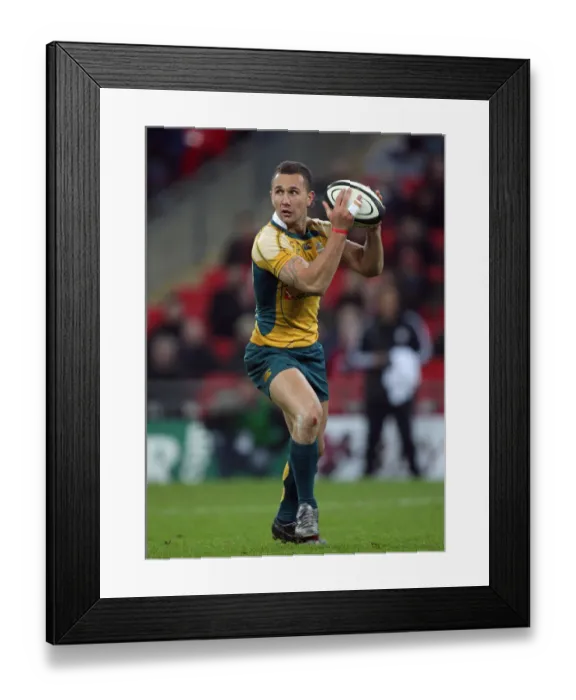 Framed Print : Quade Cooper Framed Print : Quade Cooper