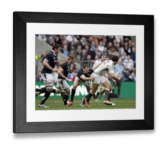 Framed Print : Shontayne Hape Looks For Support Framed Print : Shontayne Hape Looks For Support