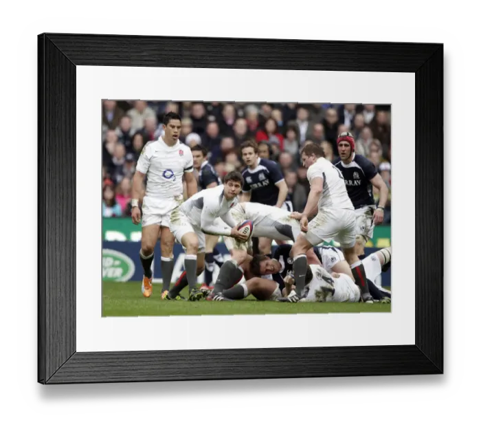 Framed Print : Ben Youngs At Scrum Half Framed Print : Ben Youngs At Scrum Half