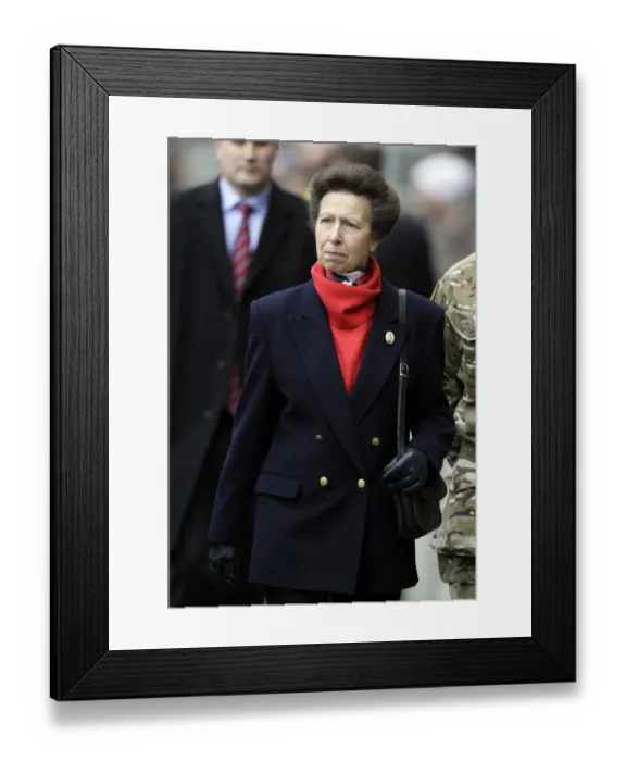 Framed Print : The Princess Anne Framed Print : The Princess Anne