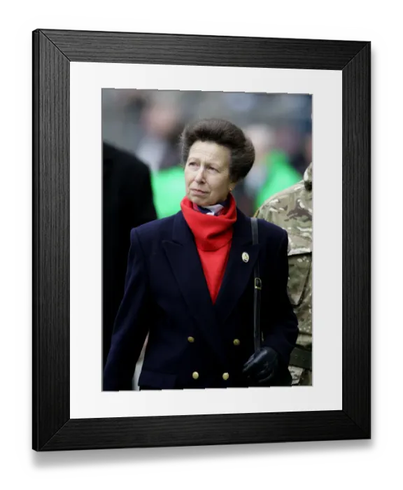 Framed Print : The Princess Anne Framed Print : The Princess Anne