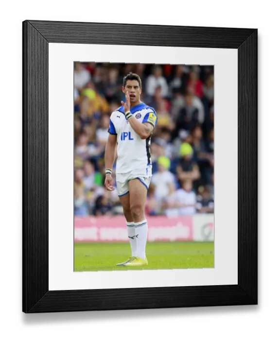 Framed Print : Shontayne Hape Framed Print : Shontayne Hape