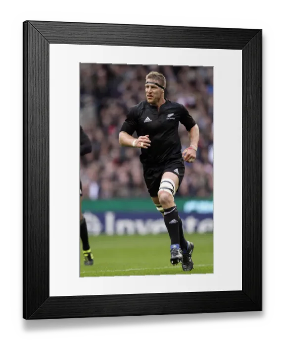 Framed Print : Brad Thorn Framed Print : Brad Thorn