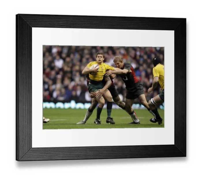 Framed Print : Luke Burgess, Courtney Lawes & Lewis Moody