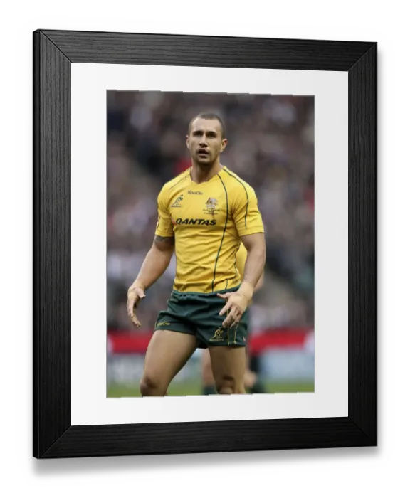 Framed Print : Quade Cooper Framed Print : Quade Cooper