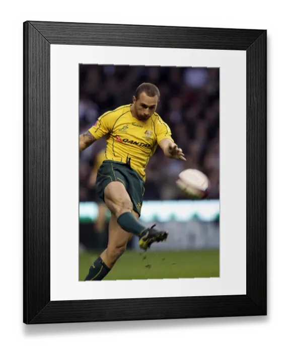 Framed Print : Quade Cooper Framed Print : Quade Cooper