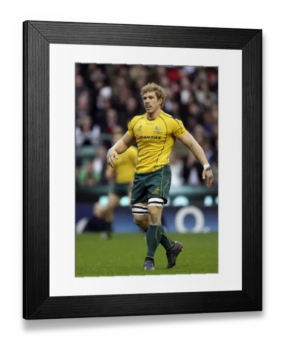 Framed Print : David Pocock Framed Print : David Pocock