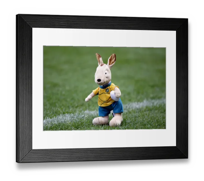 Framed Print : Wally Australia Rugby Mascot England V Australia Rugby UnionInvestec International Framed Print : Wally Australia Rugby Mascot England V Australia Rugby UnionInvestec International