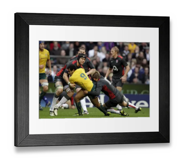 Framed Print : Will Genia, Tom Palmer & Toby Flood Framed Print : Will Genia, Tom Palmer & Toby Flood