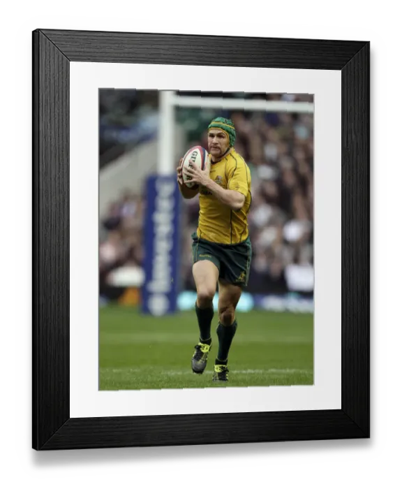 Framed Print : Matt Giteau Framed Print : Matt Giteau