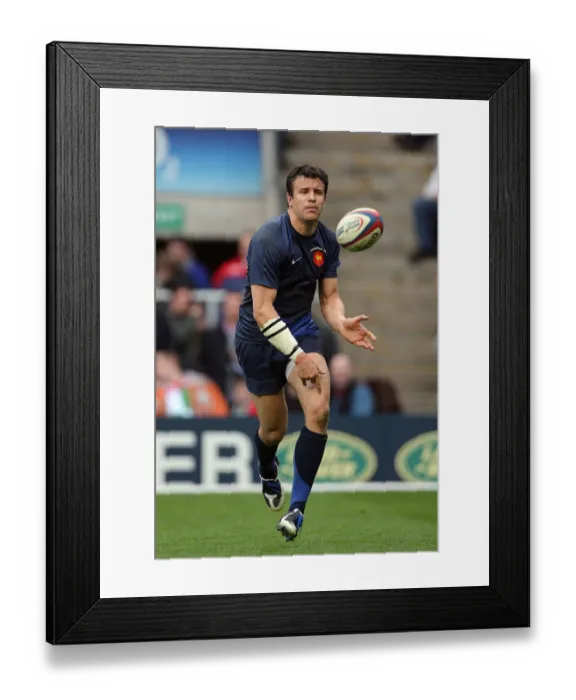 Framed Print : Damien Traille Framed Print : Damien Traille