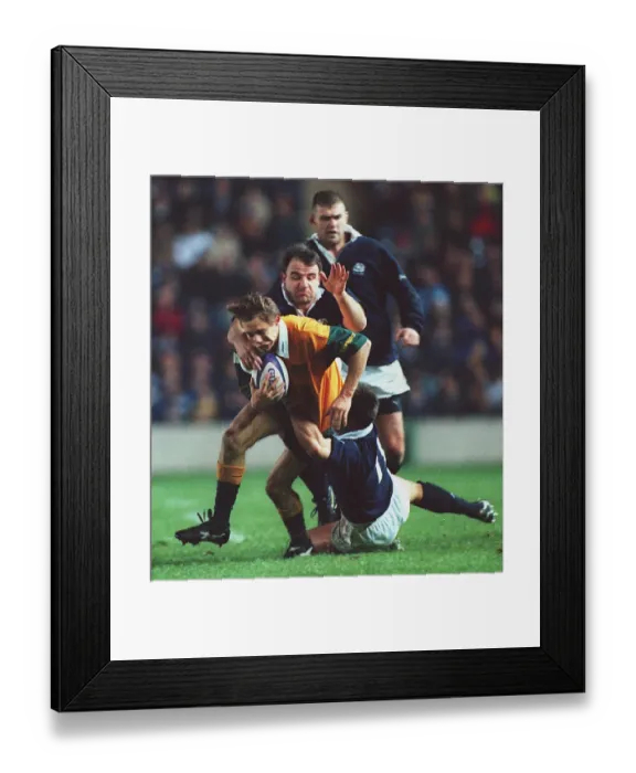 Framed Print : Stephen Larkham, Logan, Graham Framed Print : Stephen Larkham, Logan, Graham