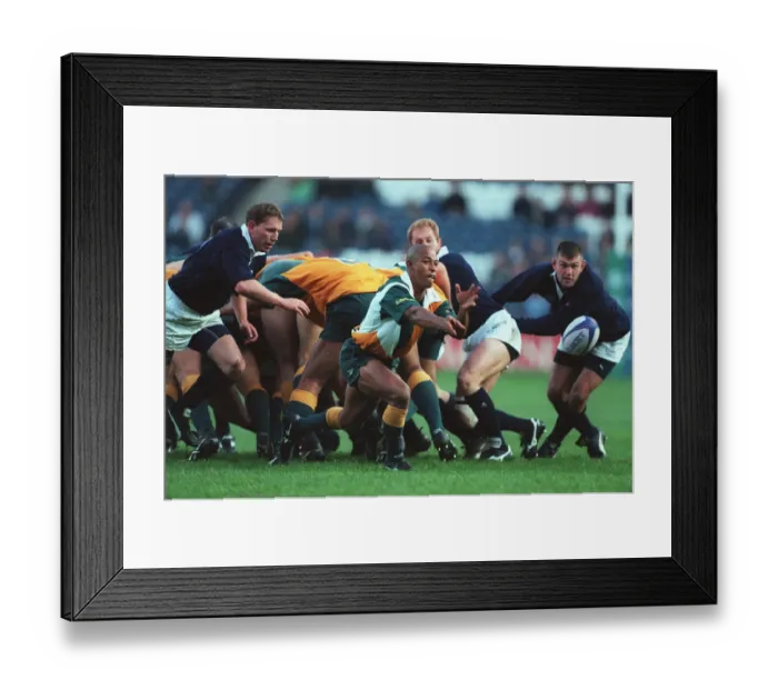 Framed Print : George Gregan Throws Ball Wide Framed Print : George Gregan Throws Ball Wide