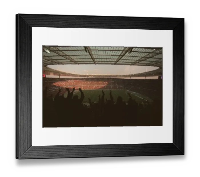 Framed Print : French Fans Cele Try Framed Print : French Fans Cele Try