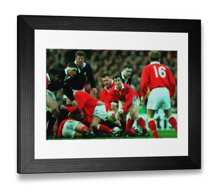 Framed Print : Robert Howley Framed Print : Robert Howley