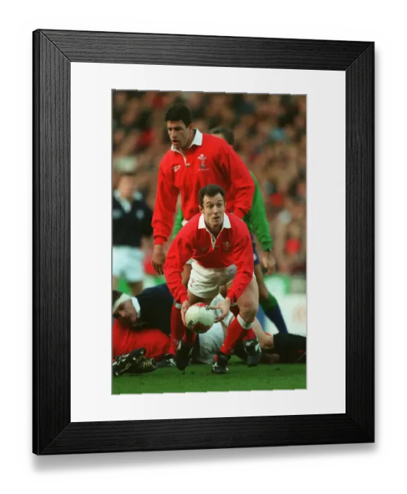 Framed Print : Robert Howley Framed Print : Robert Howley