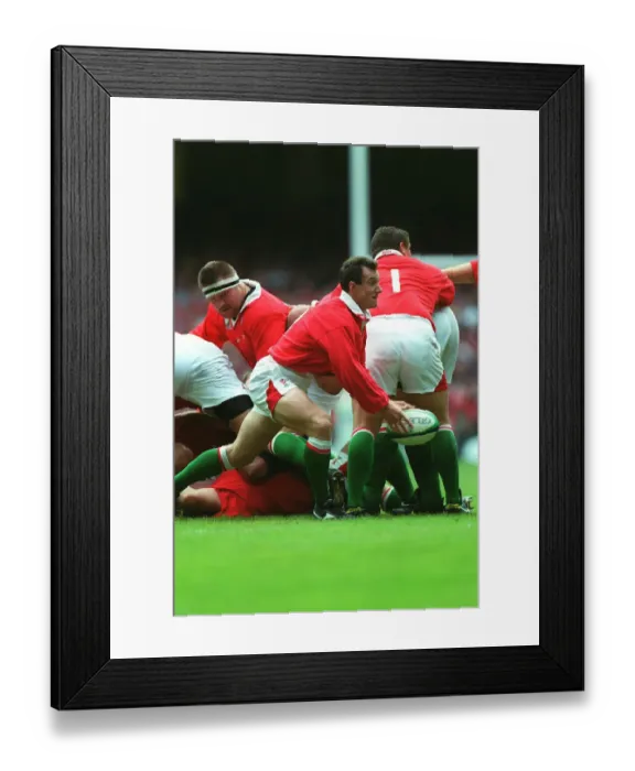 Framed Print : Robert Howley Framed Print : Robert Howley