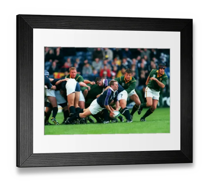 Framed Print : Alan Tait Scotland and Edinburgh Reivers 03 October 1999 Date: 03 October 1999 Framed Print : Alan Tait Scotland and Edinburgh Reivers 03 October 1999 Date: 03 October 1999