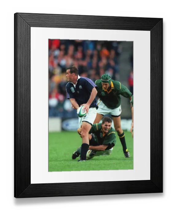 Framed Print : Martin Leslie & Westhuizen