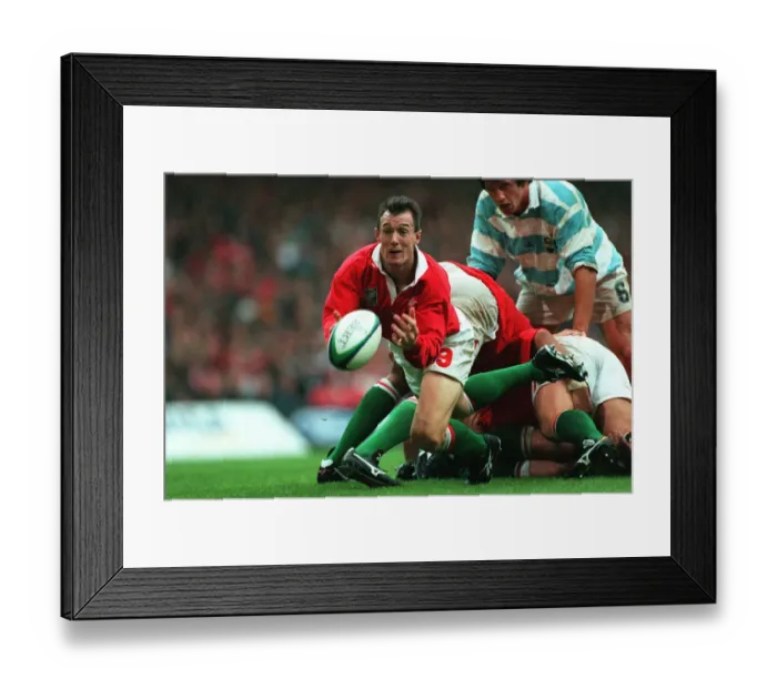 Framed Print : Robert Howley Framed Print : Robert Howley