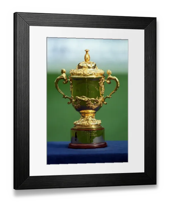 Framed Print : Rugby Union World Cup