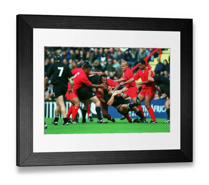 Framed Print : Robin Brooke Hangs On Framed Print : Robin Brooke Hangs On