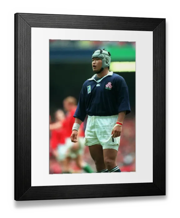 Framed Print : Shin Hasegawa Framed Print : Shin Hasegawa